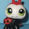 femmeladybug